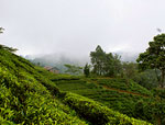 Ilam