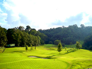 gokarna forest resort holi