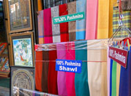 Pashmina & Cashmere