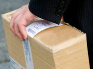 Cargo and Export Services