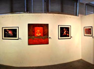 Exhibits and Displays
