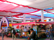 Fair and Expo