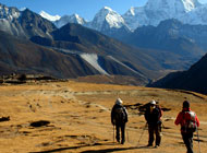 Trekking Agencies