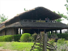 bardiaecolodge-p1.jpg