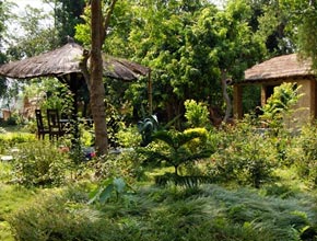 bardiawildliferesort-p1.jpg