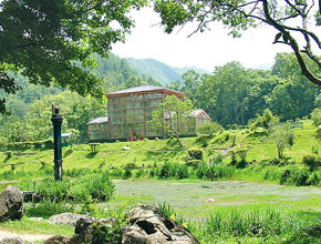 botanicalgardennepal-400.jpg