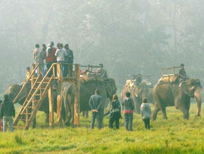 chitwan_p1.jpg