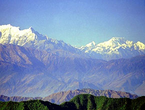 daman_p1.jpg