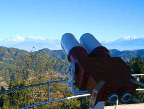 daman_p3.jpg