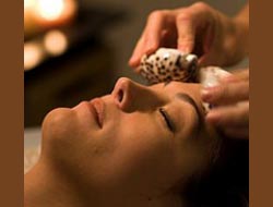 hollywood_salon_p1.jpg