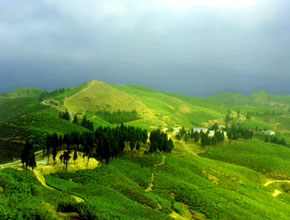 illam_p1.jpg