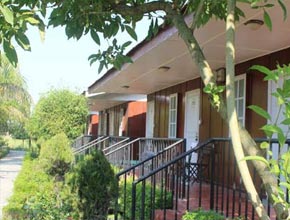 junglenepalresort-p1.jpg