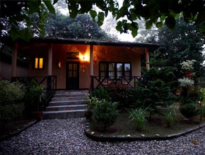 junglevillaresort-p1.jpg