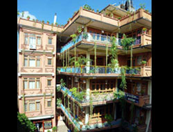 lailai_p1.jpg