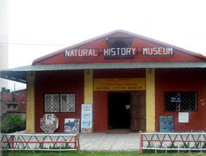 natural_history_p1.jpg