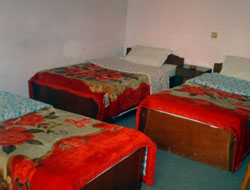 om-tara-guest-p1.jpg