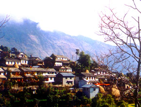 panchamul_p1.jpg