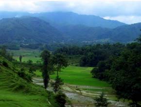 phulchoki_p1.jpg