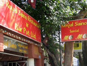 royal-saino-p1.jpg