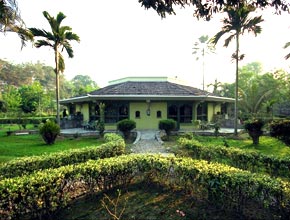 therhinoresidency-p1.jpg