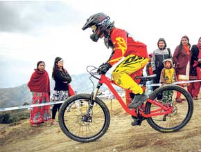 himalayan-220.jpg