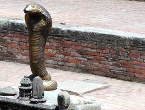 nagpanchami_p1.jpg