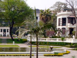 Garden of Dreams