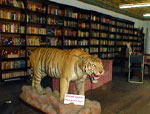 Kaiser Library 