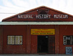 Natural History Museum