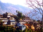 Panchamul Sirubari