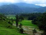 Phulchoki