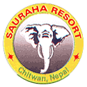 Sauraha Resort