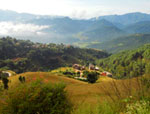 Tansen